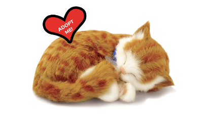 88 Unlimited image 2