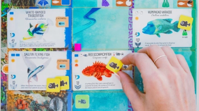 Stonemaier Games image 2